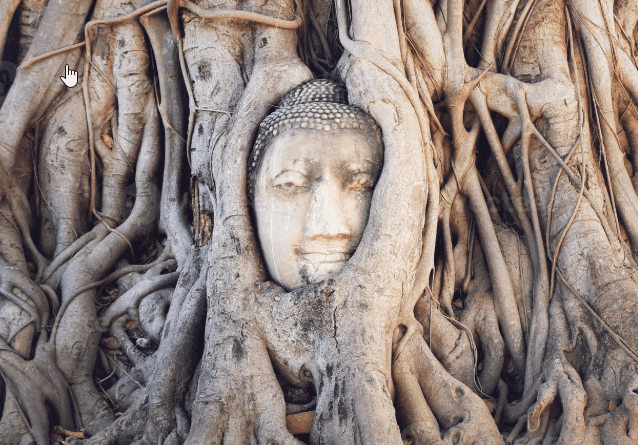 Ayutthaya Boeddha-hoofd in boomwortels