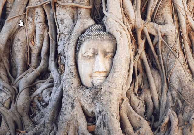 Ayutthaya Boeddha-hoofd in boomwortels